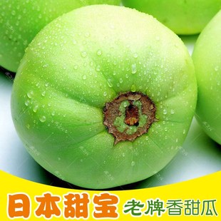 蟋蟀牌日本甜宝甜瓜种子香瓜特大正品 白种籽春季 种孑进口 早熟四季