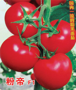 寿光蔬菜种子粉帝番茄种子保护地露地毛粉西红柿四季 春夏秋种孑籽