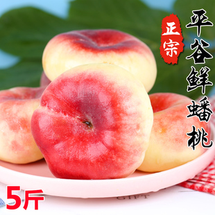 水果脆甜大桃软桃子毛潘扁桃整箱3 北京平谷蟠桃新鲜5斤水蜜桃当季