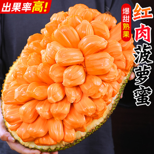 越南红肉菠萝蜜18斤应季 树上熟新鲜水果一整个红心波罗蜜整箱 包邮