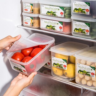 日本进口塑料保鲜盒冰箱食物收纳盒整理盒长方形密封盒水果冷藏盒