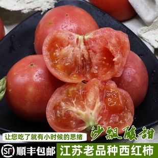 农家自种 包邮 顺丰 自然熟西红柿沙瓢现摘可生吃 番茄新鲜