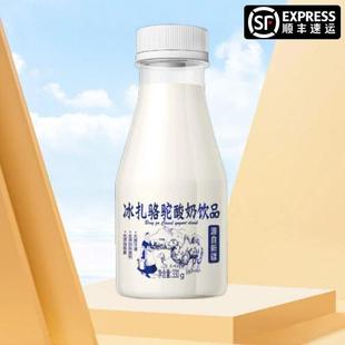 冰扎骆驼酸奶饮品原味酸奶小瓶常温新疆酸奶网红记忆