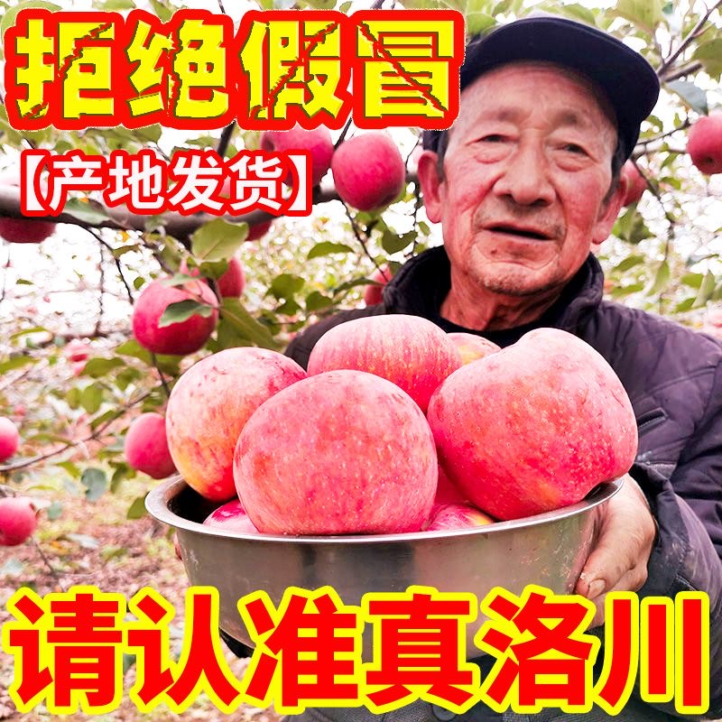 水果脆甜富士9斤 陕西正宗洛川富士苹果红富士苹果当季