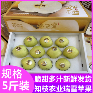 瑞雪苹果5斤礼盒装 脆甜多汁日本青森水蜜桃王林品种农产品大 包邮