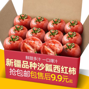 正宗新疆品种自然熟沙瓤西红柿10斤普罗旺斯现摘新鲜水果蔬菜番茄