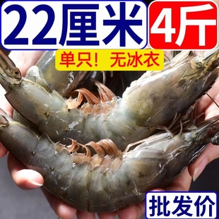 青岛大虾鲜活超大基围虾特大虾青虾新鲜冻虾海虾白虾虾类海鲜水产