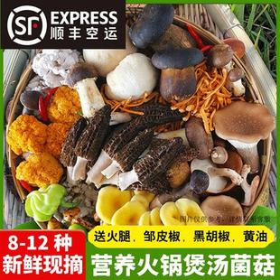 云南菌子新鲜野生菌组合羊肚菌松茸牛肝菌蘑菇煲汤火锅食材食用菌