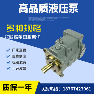 变量柱塞泵注塑机配件 A100 LR01CS 10450 油研油泵 高压泵