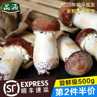 云南香格里拉特产食用菌菇姬 新鲜姬松茸1斤装 松茸 第2份半价