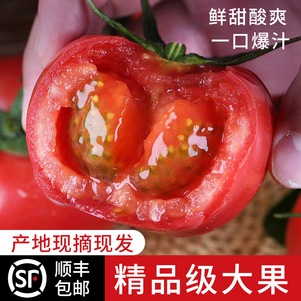 顺丰 陕西泾阳普罗旺斯水果西红柿生吃沙瓤番茄洋柿子 包邮