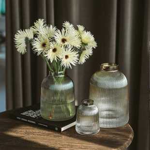 轻奢金色竖纹透明玻璃花瓶客厅水培花器插花装 饰摆件小