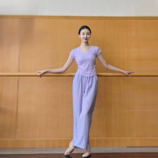 现代舞夏季 成人舞蹈服短袖 中国古典民族跳舞服女瑜伽 上衣练功修身