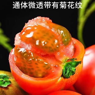 顺丰山东莱西吮指洋柿子西红柿番茄生吃4斤装 24枚随机发