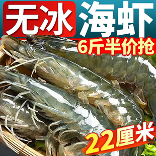 青岛大虾鲜活气冻超大号冷冻海虾基围虾液氮无冰青虾氮气海鲜虾类
