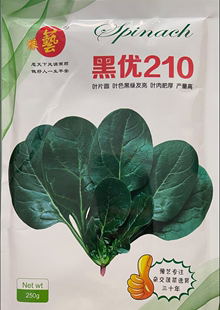 豫艺黑优210菠菜种子 黑圆叶趴地菠菜 袋 叶片肥厚发亮 250克