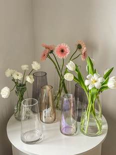 网红花瓶摆件客厅插花玻璃高级感透明水养ins郁金香水培鲜花轻奢