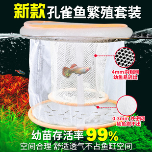 孔雀鱼繁殖盒生小鱼漂浮隔离网下崽分离器鱼缸母鱼孵化繁殖网 新款