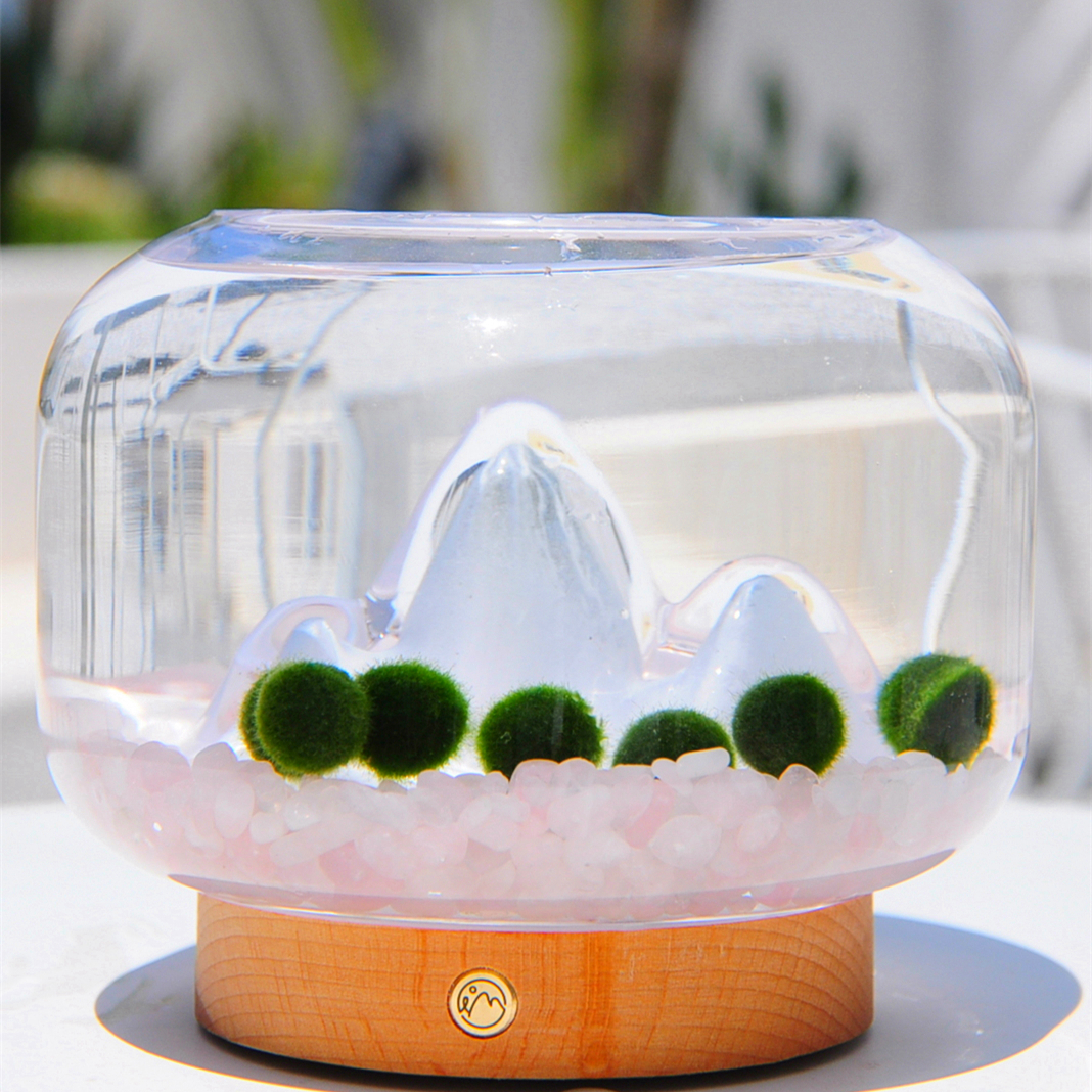 暖山灯海藻球微景观创意礼品diy桌面植物盆栽玻璃鱼缸摆件水培