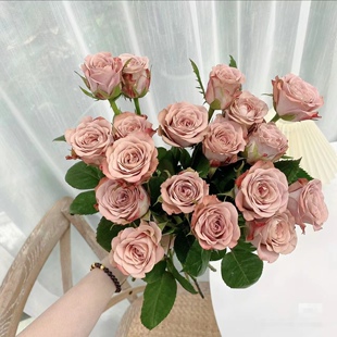 玫瑰鲜花鲜切水养真花室内装 包邮 饰节日花束花卉 顺丰冷链两件