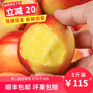 云南珍珠枣油桃新鲜当季 包邮 箱孕妇水果顺丰 脆甜黄心小油桃4.5斤