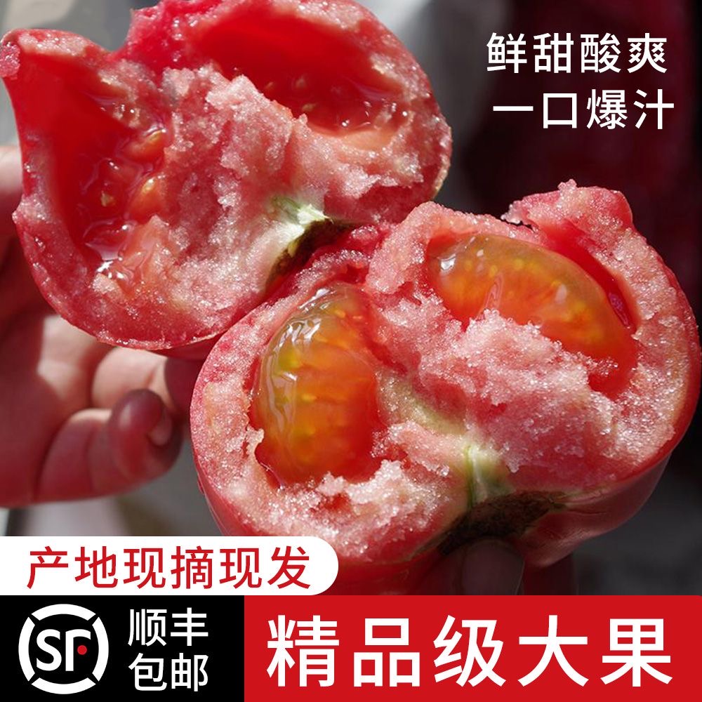 京东 山东普罗旺斯西红柿新鲜水果自然熟老品种沙瓤 顺丰快递