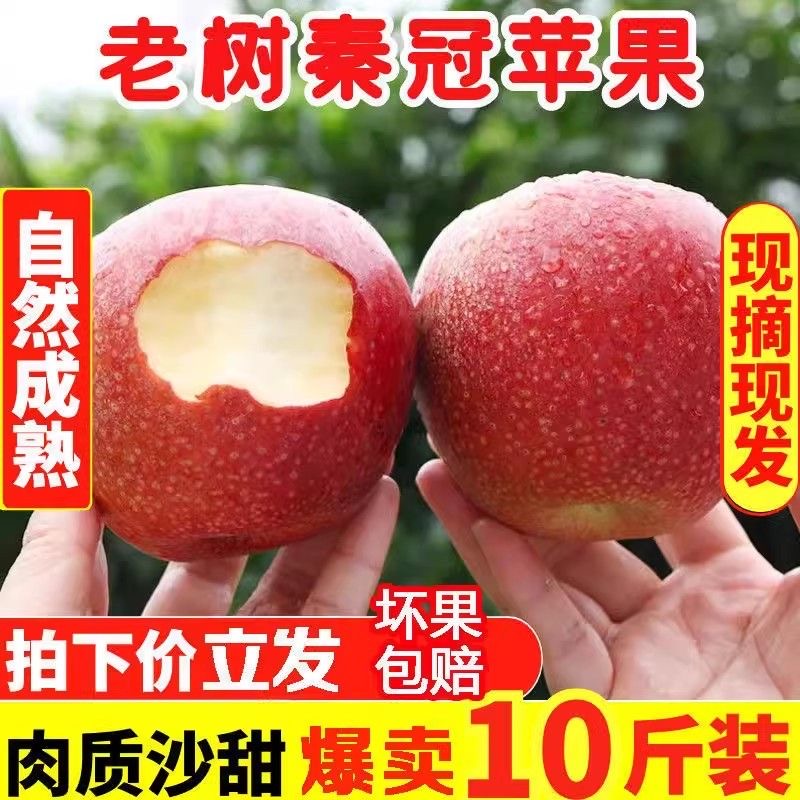 新鲜苹果 10斤红苹果当季 陕西秦冠苹果脆粉两吃5