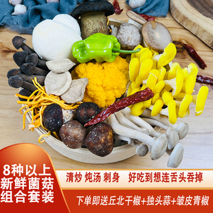 新鲜云南菌子组合 野生香菇 姬松茸 炖汤清炒鲜菌蘑菇包 黑牛肝菌