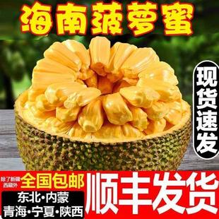 海南三亚菠萝蜜新鲜水果顺丰 黄肉一整个20 当季 40斤木波罗蜜 包邮