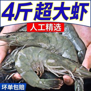 青岛大虾超大海鲜水产鲜活速冻海虾新鲜基围虾青虾对虾鲜虾 4斤装