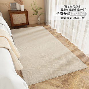 卧室地毯床边毯高端客厅地垫主卧全铺毛绒脚垫家用防水沙 法式 新款