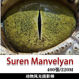 索尼世界摄影奖获奖摄影师 Suren 摄影作品素材 Manvelyan