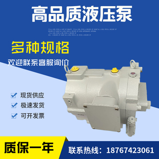 日本电机组合柱塞泵 RP38A2 电机泵 注塑机油泵