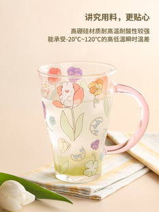 家居茉茉兔高硼硅茶杯个人专用夏女网红水杯玻璃带把带吸管