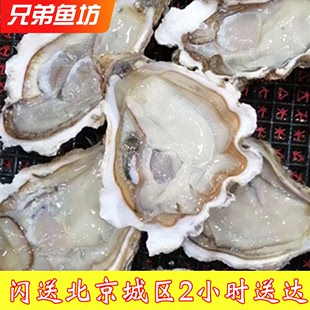 北京闪送鲜活山东生蚝牡蛎海蛎子威海特产带壳生蚝即食海鲜 10只装