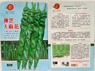 豫艺种业 袋 果形长产量高 全螺旋型高产顺直螺丝椒种子 1000粒