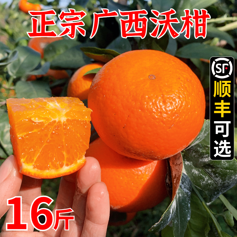 水果武鸣柑橘皇帝橘子砂糖桔子 正宗广西沃柑新鲜大果10斤现摘当季