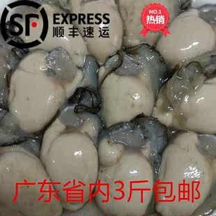 包邮 生蚝肉鲜活现剥去壳牡蛎500g海鲜水产即食烧烤特大海蛎子十斤
