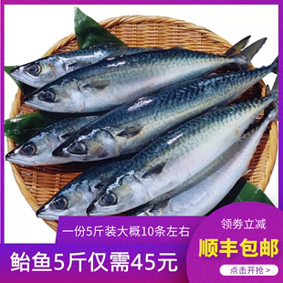 5斤青占鱼燕鱼青花鱼生鲜食材 整条海鲜活冷冻 新鲜鲐鲅鱼