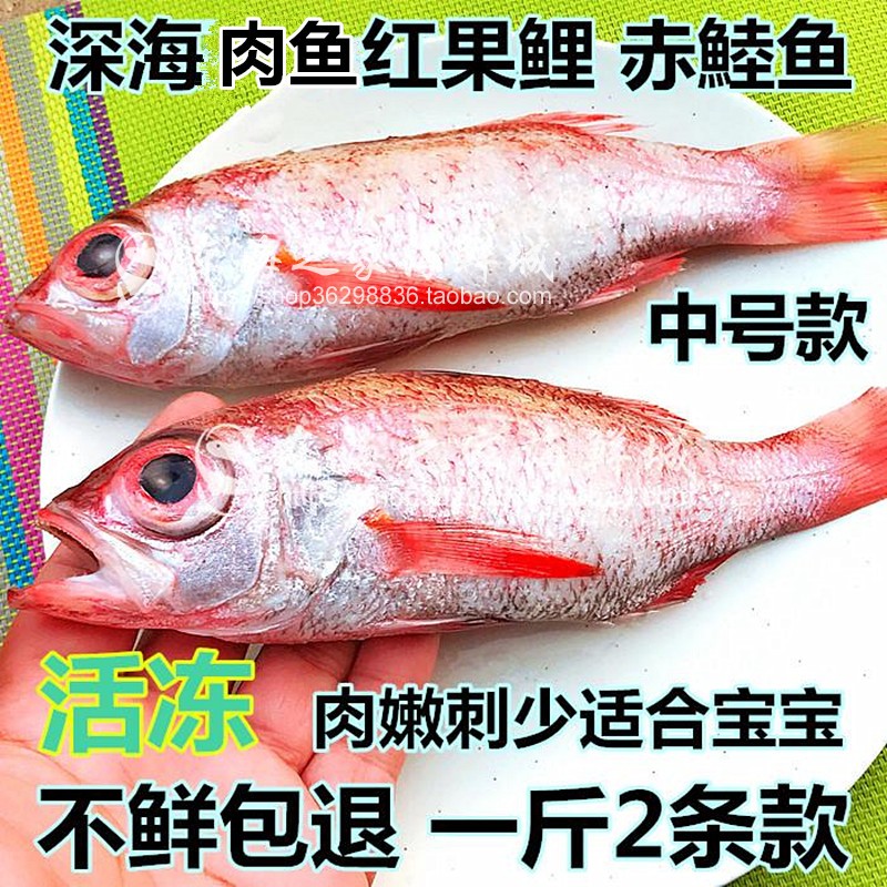 无冰东海新鲜红果鲤鲜活赤鯥鱼冷冻红黑喉鱼肉鱼深海鱼水产1斤2条