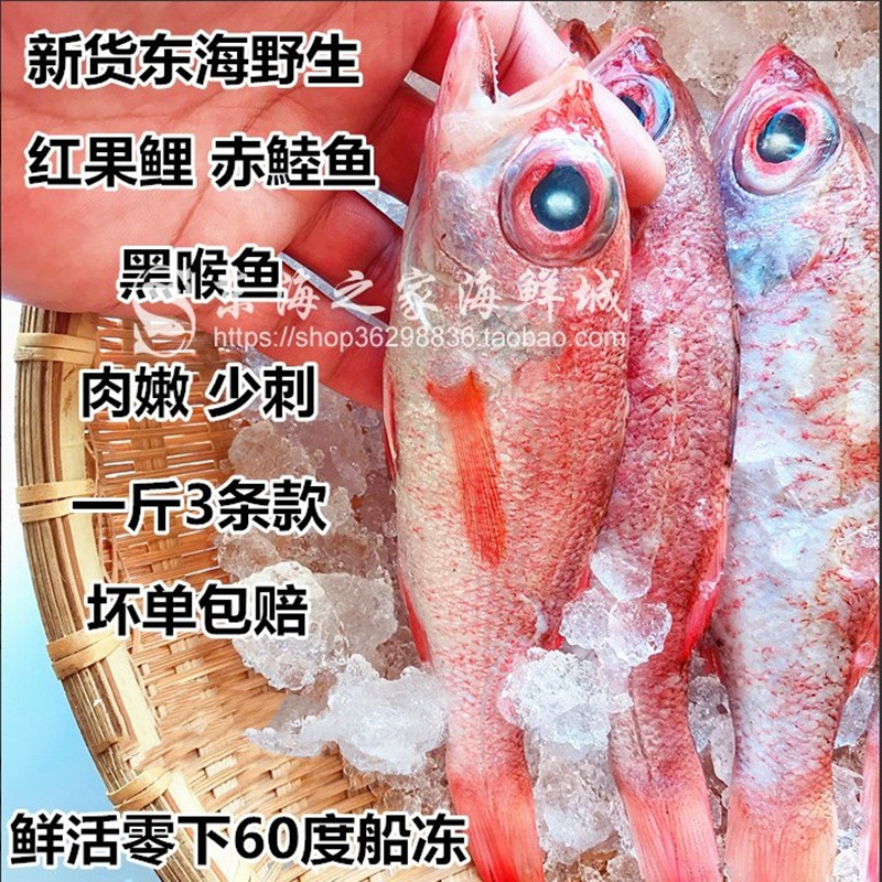 深海红果鲤鲜活冷冻赤鯥鱼新鲜红黑喉海鲜水产品一斤3条少刺 新品