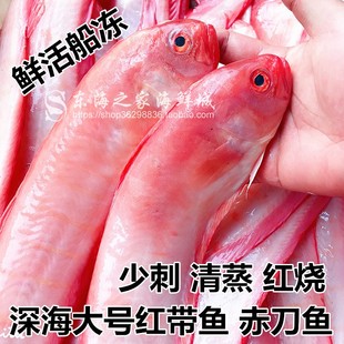 新货东海红带鱼鲜活冷冻大带鱼新鲜赤刀鱼深海鱼海鲜水产品 2斤装