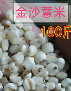 明清贡品特级金沙薏米仁药用新货农家自产100斤五谷杂粮薏仁米