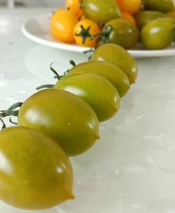 绿番茄绿宝石 5斤顺丰 圣女果青番茄小番茄生吃 包邮