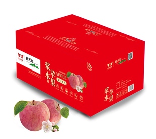 河北邢台特产礼盒系列浆水苹果脆甜无渣精选二号果20枚家乡土特产