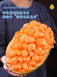 越南红肉菠萝蜜18斤应季 树上熟新鲜水果一整个红心波罗蜜整箱 包邮