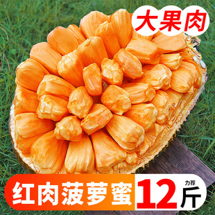 越南进口红肉菠萝蜜一整个6 包邮 新鲜水果红心波罗蜜整箱 18斤当季