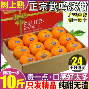 顺丰正宗广西武鸣沃柑10斤新鲜橘子水果当季 一级蜜柑桔整箱 大 包邮