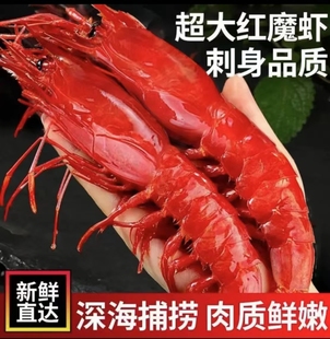 红魔虾鲜活超大特级大虾鲜活刺身海鲜水产生呛大虾速冻深海魔鬼虾