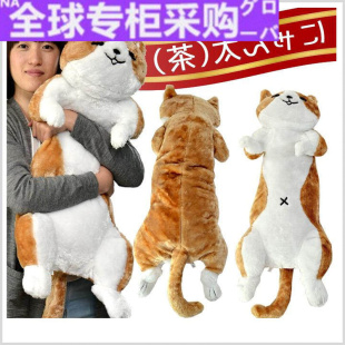 日本在途日本猫咪小猫男朋友人形抱枕毛绒公仔三花美短公仔抱 新款